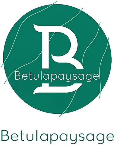 BETULA PAYSAGE